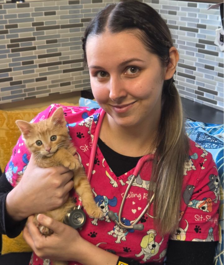 Portrait of Alexandria